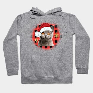 Christmas Cat Hoodie